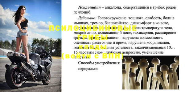 apvp Магас